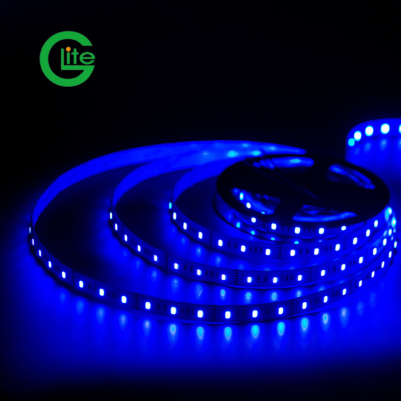 3years Garantia Fita de Luz LED SMD5050 Rgbww 60LED DC24 para Decoração de Iluminação