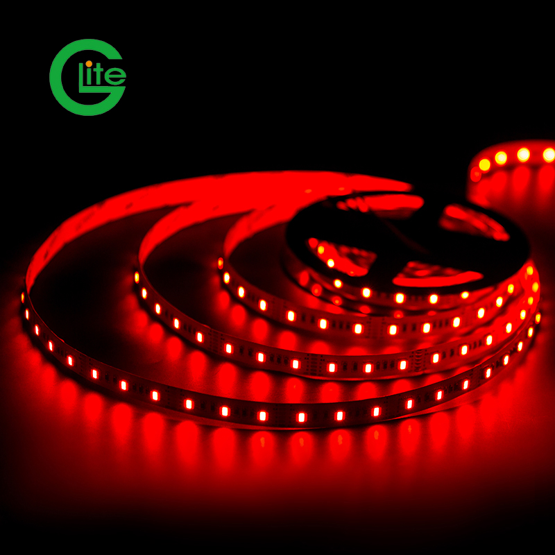 3years Garantia Fita de Luz LED SMD5050 Rgbww 60LED DC24 para Decoração de Iluminação