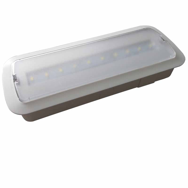 IP20 Teste Automático de Iluminação LED de Emergência Recessada com Parede Fina com Diferente Lenda