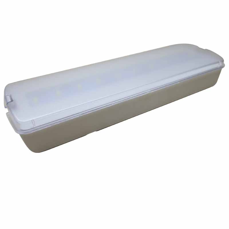 IP20 Teste Automático de Iluminação LED de Emergência Recessada com Parede Fina com Diferente Lenda
