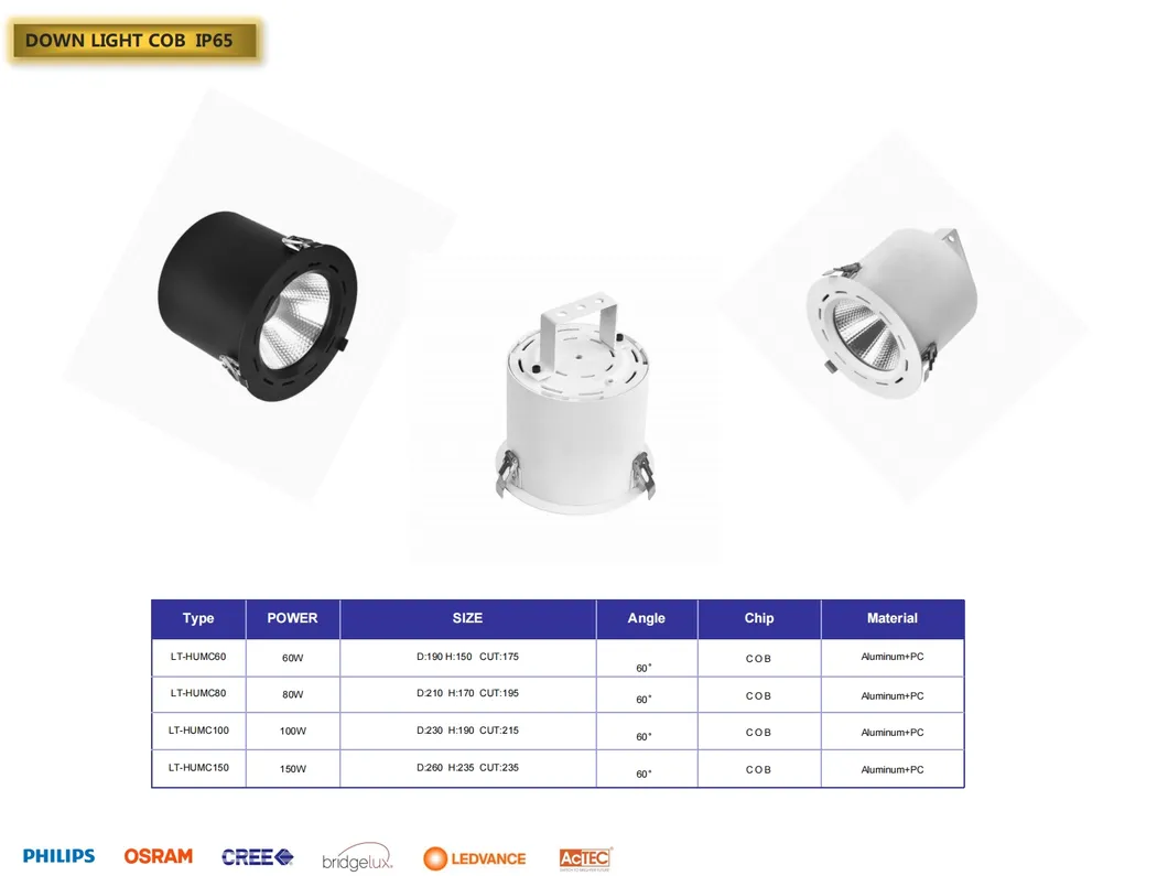 Downlight LED 6