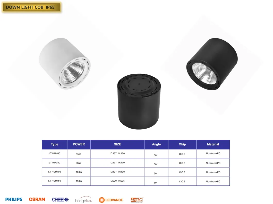 Downlight LED 7
