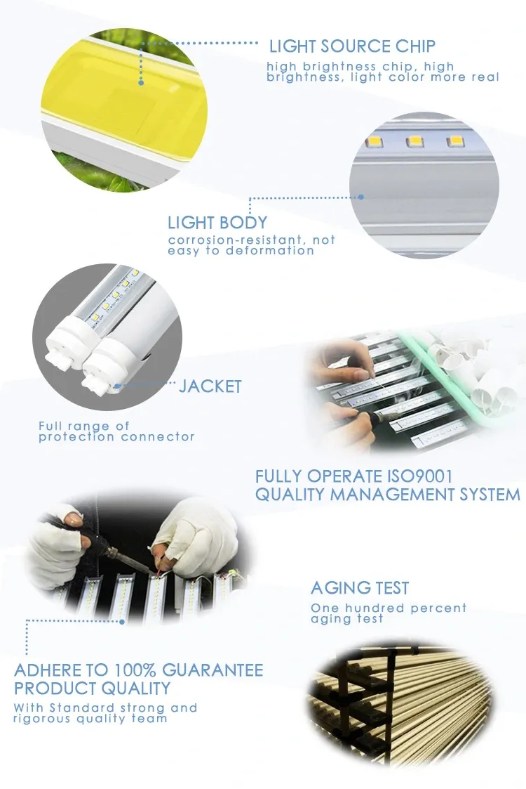 Exibição do produto LED T8
