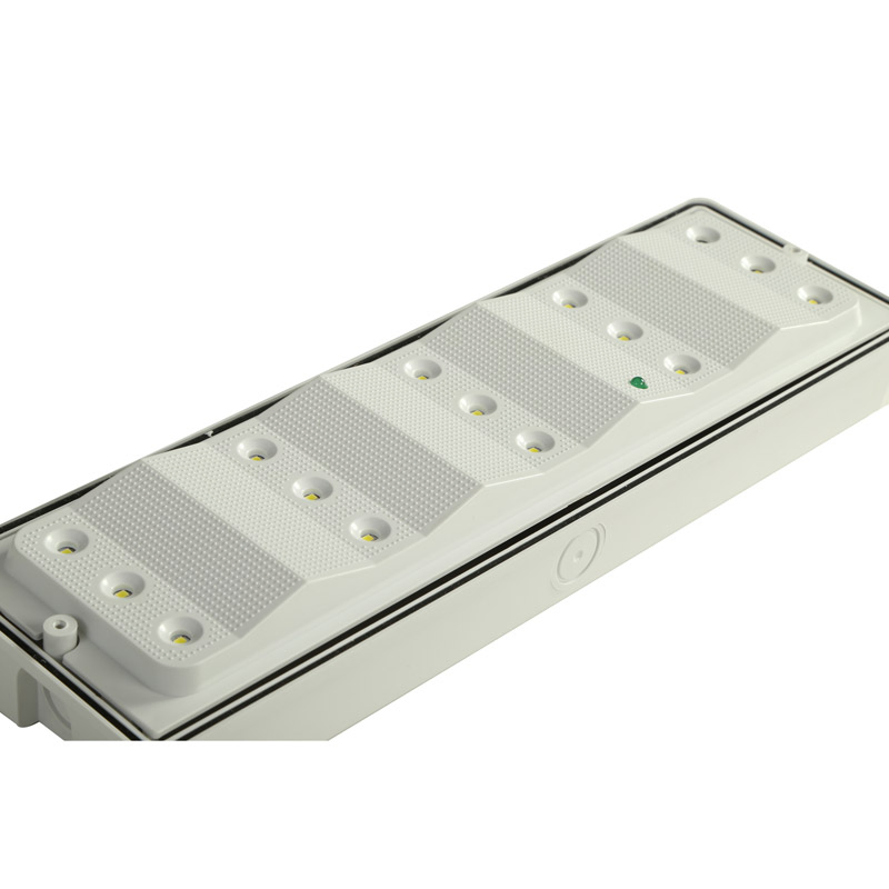 IP65 Sinalização de Saída de Emergência LED Recarregável Montada na Parede