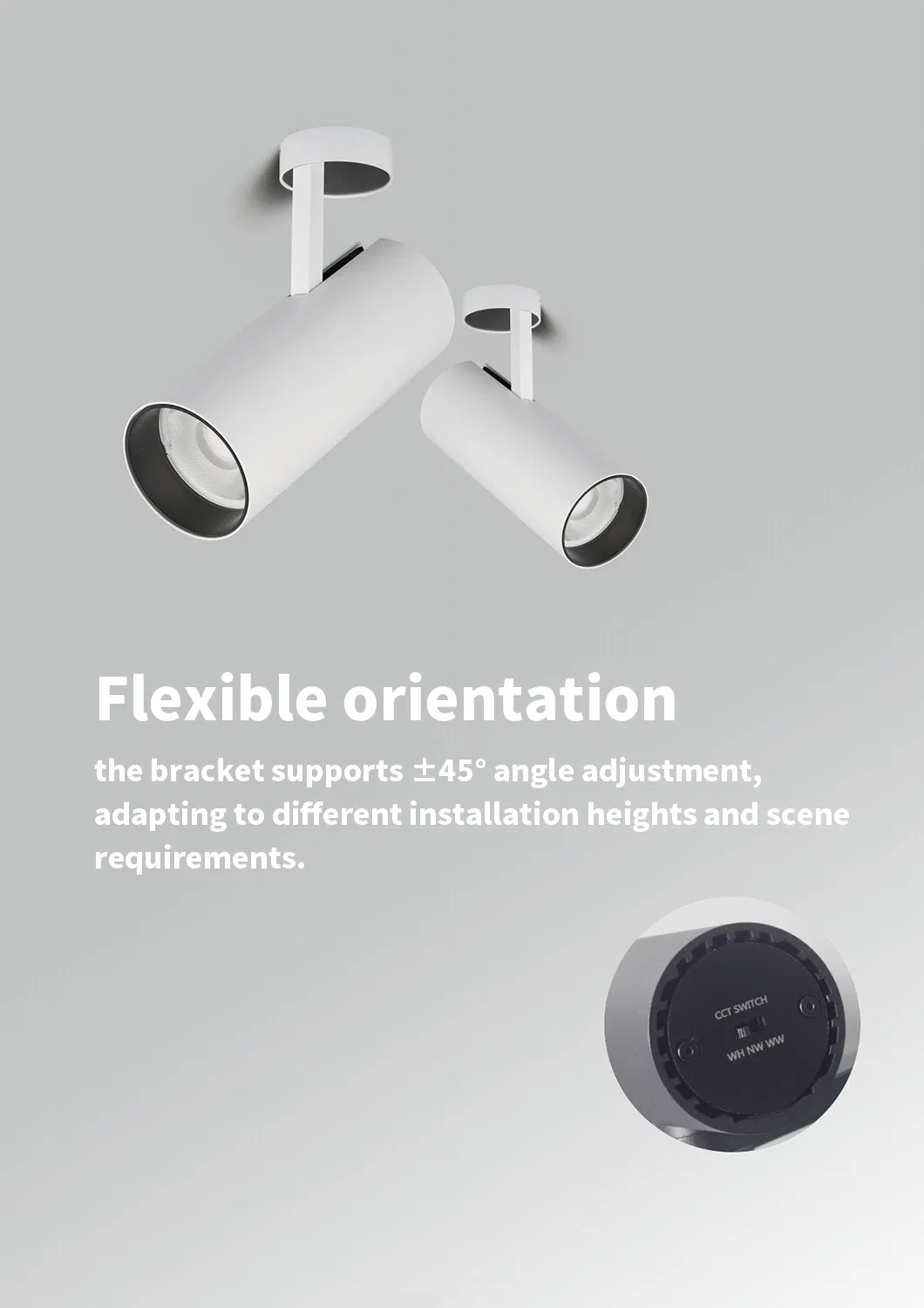Spotlight LED Interior