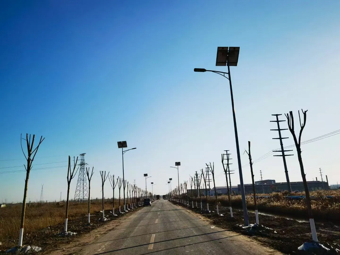 Lâmpada Solar de Cartão Zijun Branca Fria com Controle Automático de Luz