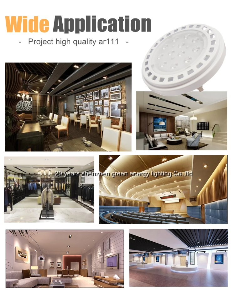 20 Ano Fábrica G53 R111 Lâmpada LED 10 Grau Holofote de Alta Potência AR111 Qr111 Es111 COB SMD PAR36 Luz Spot LED 230V Dimerização com Driver Externo Luminárias LED