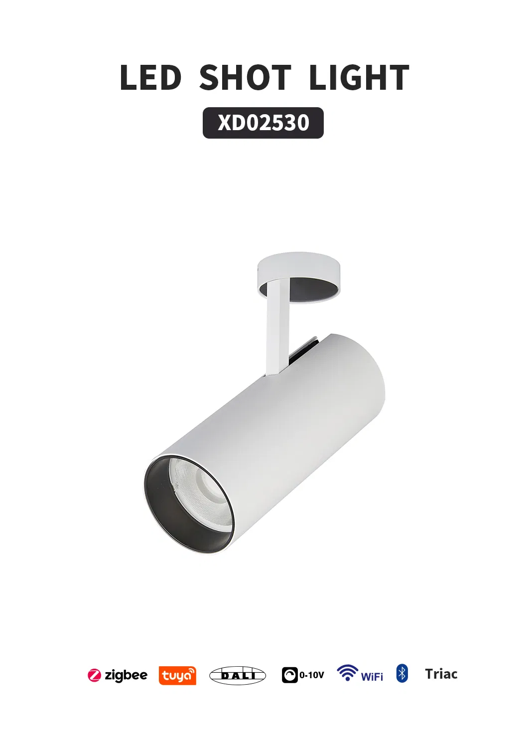 Spotlight LED 30W