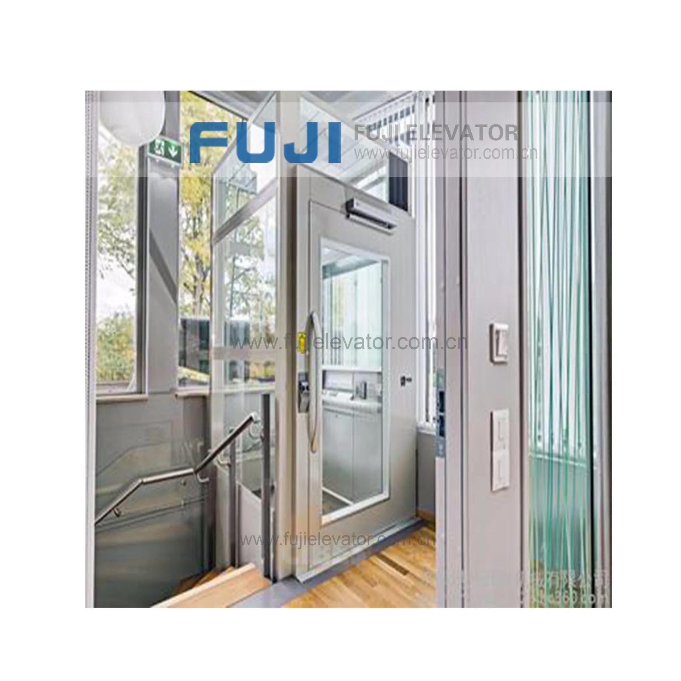 FUJI Panoramic Elevator/Lift Price in China