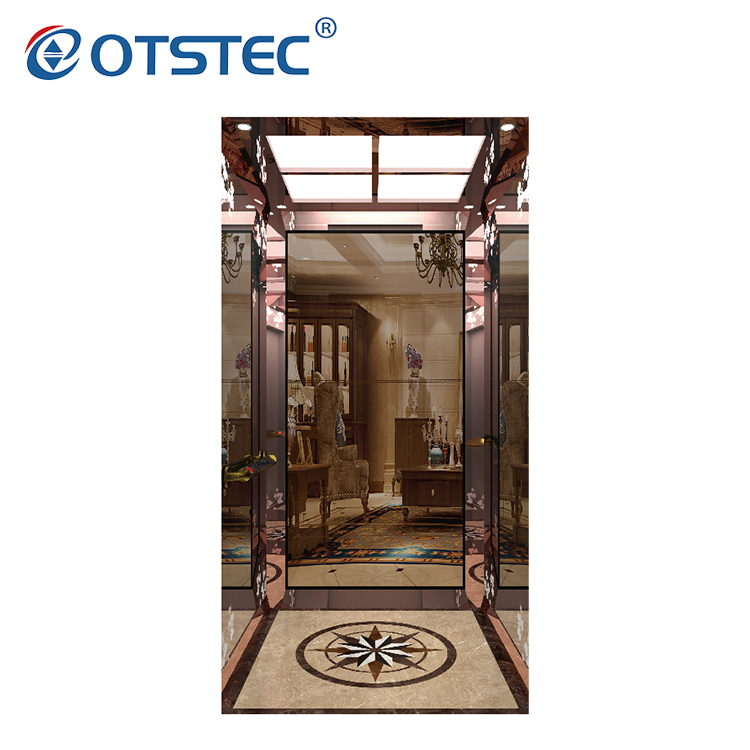 Otstec Modern and Luxury Customized Home LFT Villa Elevator