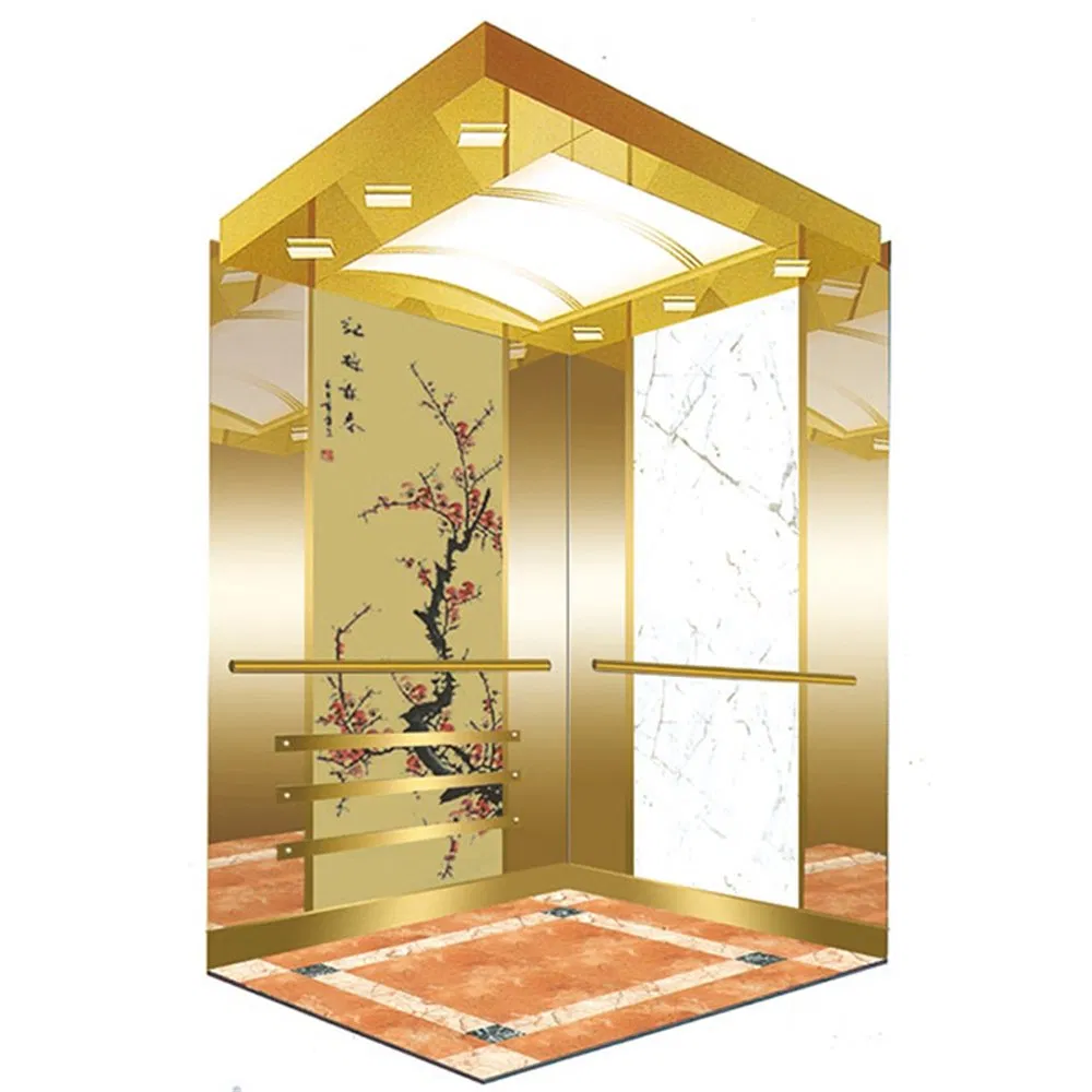 Vvvf Control Residential Building Passenger Elevator Price