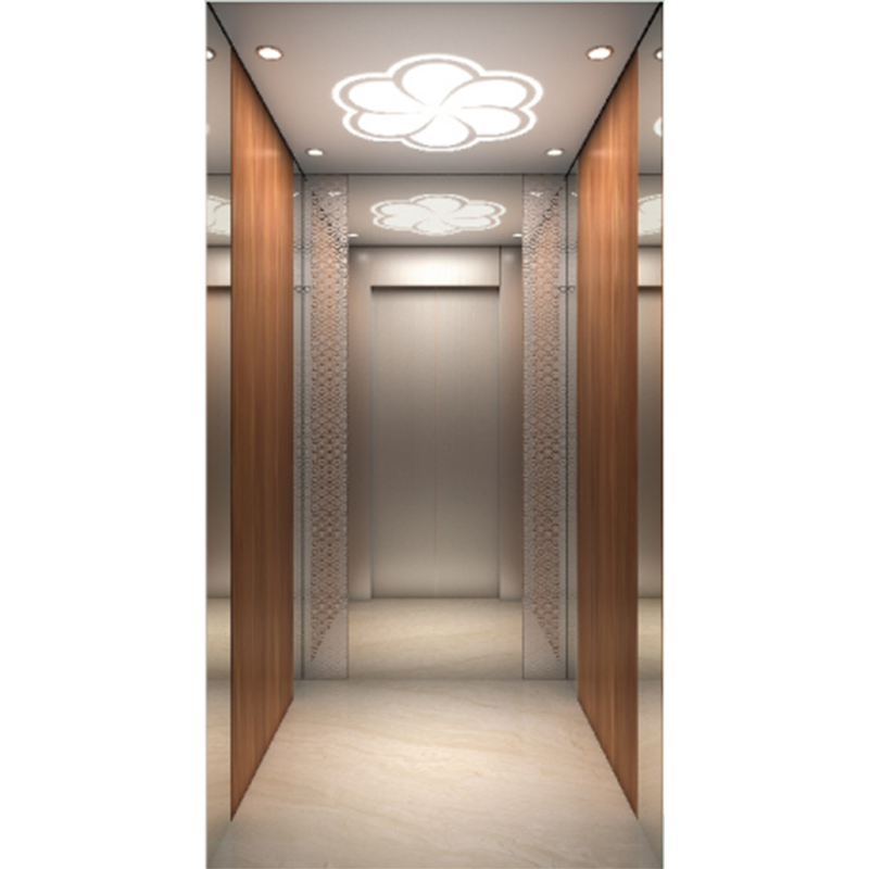 450kg-1600kg 1m/S-2.5m/S Mr Passenger Elevator