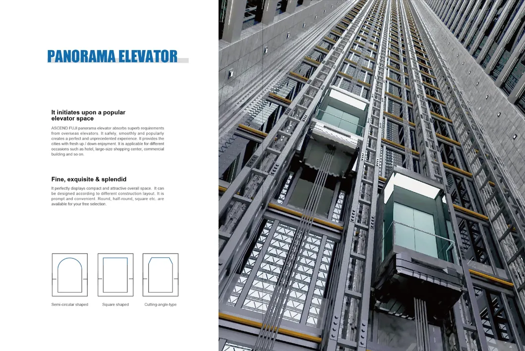 Panorama Elevator Detail