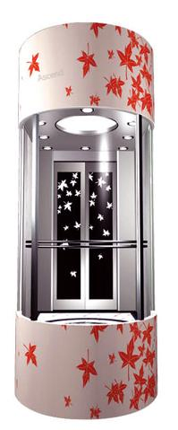 Premium Stainless Steel Panoramic Elevator Lift for Global Distribution