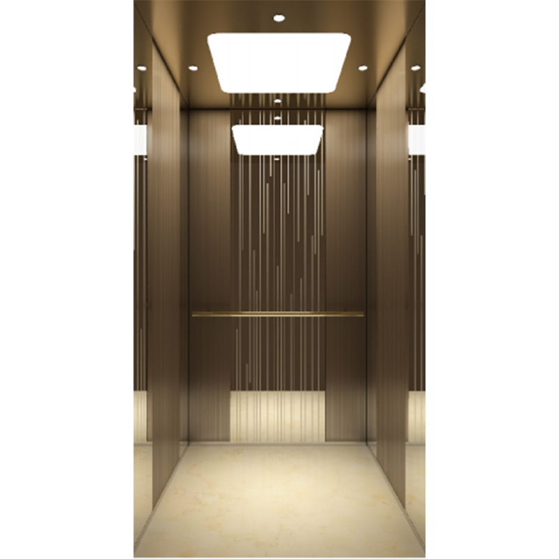 450kg-1600kg 1m/S-2.5m/S Mr Passenger Elevator