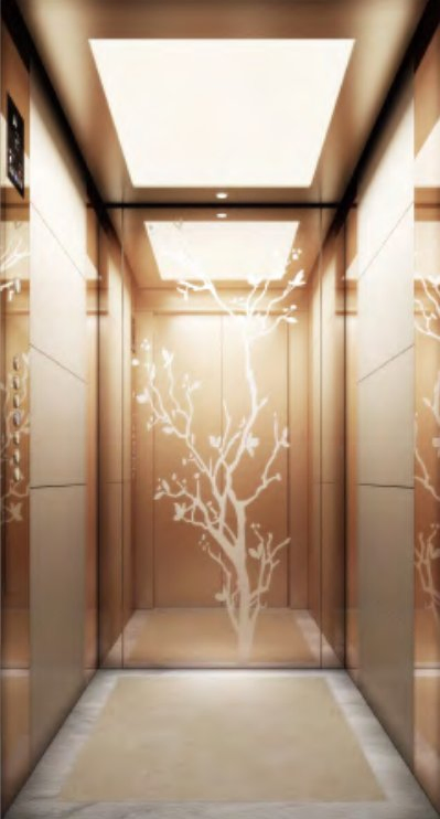 Fujixun Stainless Steel Mirror Etched Panoramic Passenger Elevator Lift with Good Price