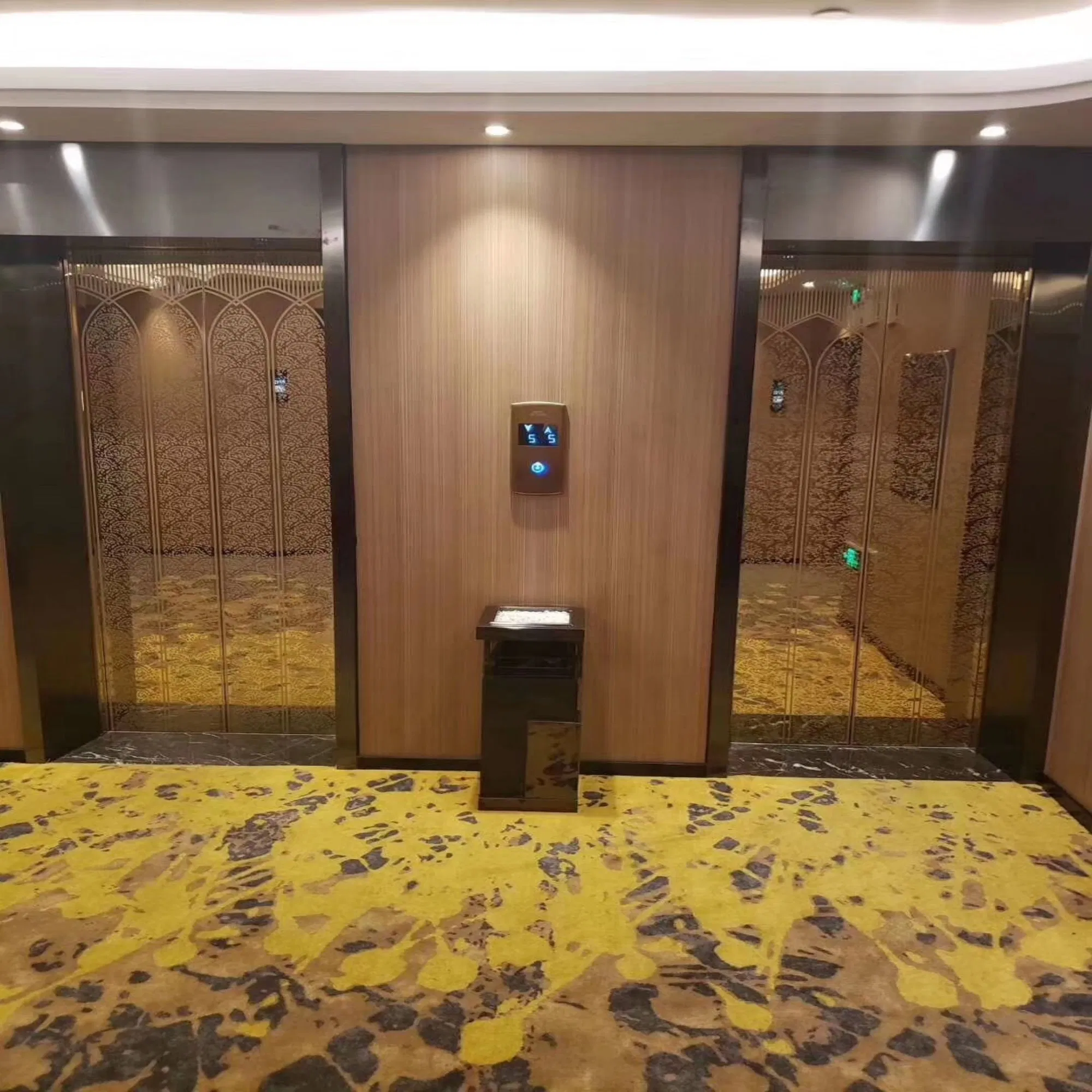 Large Space Comfortable Silent Stainless 1600kg 6 Person Passenger Lift Elevator