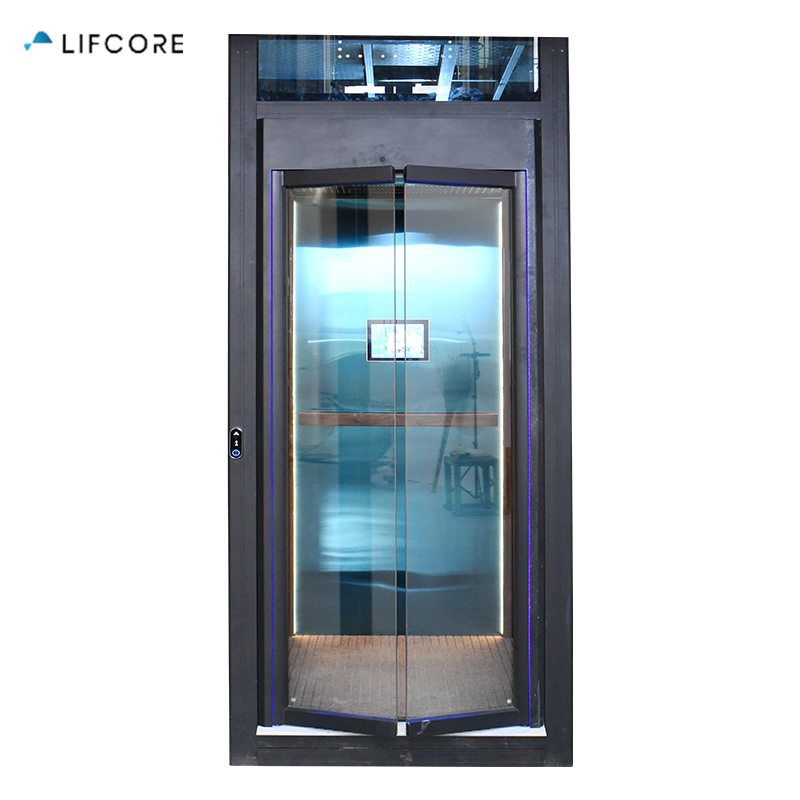 Cheap Residential Panoramic Car Elevator Lift