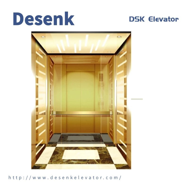 Desenk Passenger Elevator Small Machine Room Villa Elevator Commercial Elevator with Good Elevator Price