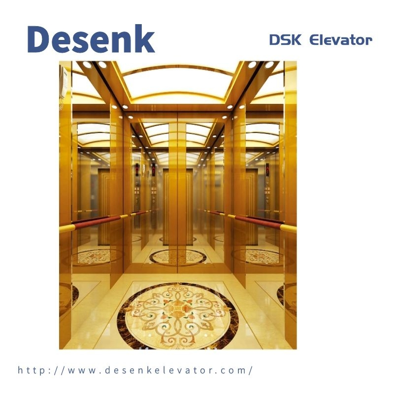 Desenk Passenger Elevator Small Machine Room Villa Elevator Commercial Elevator with Good Elevator Price