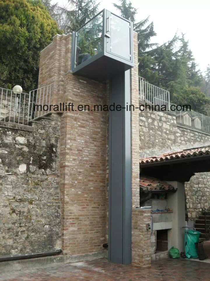 Vertical Hydraulic Disabled Wheelchair Platform Lift