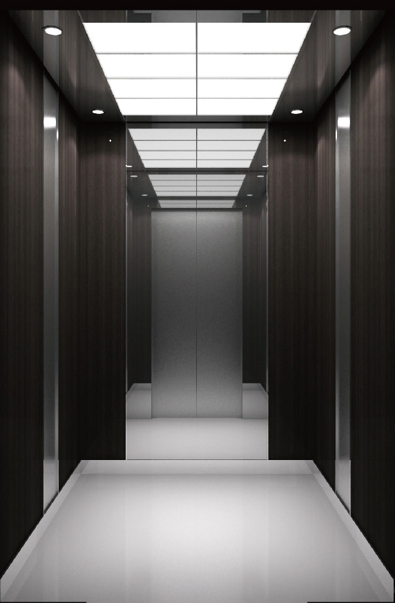 Home Lift Passenger Elevator with Customized Cabin