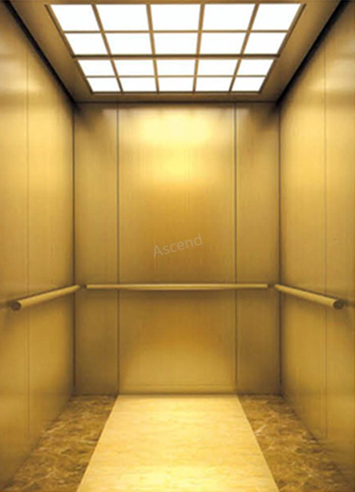 Villa Home Elevator with Low Noise for Passenger FUJI Lift Elevator