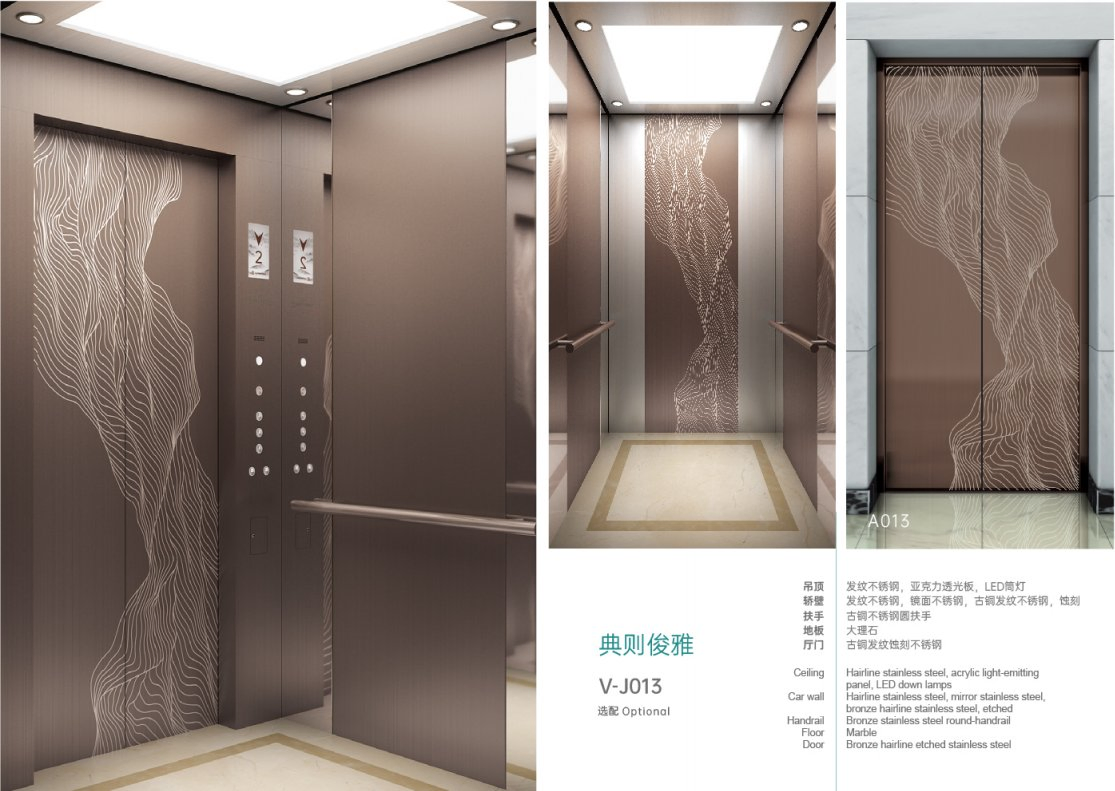 Stainless Steel Mirror Home Panoramic 6 Person Passenger Elevator Lift