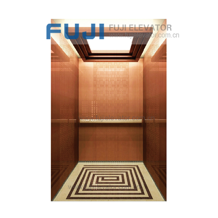 FUJI Customized Circle Type Panoramic Passenger Elevator Lift for Home House Lift