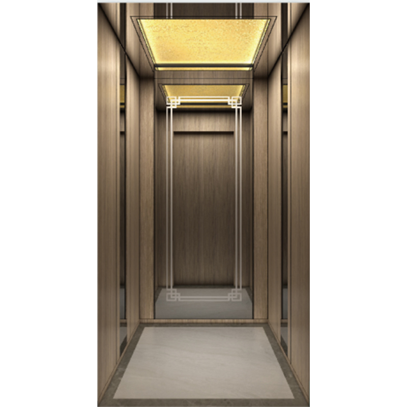 450kg-1600kg 1m/S-2.5m/S Mr Passenger Elevator