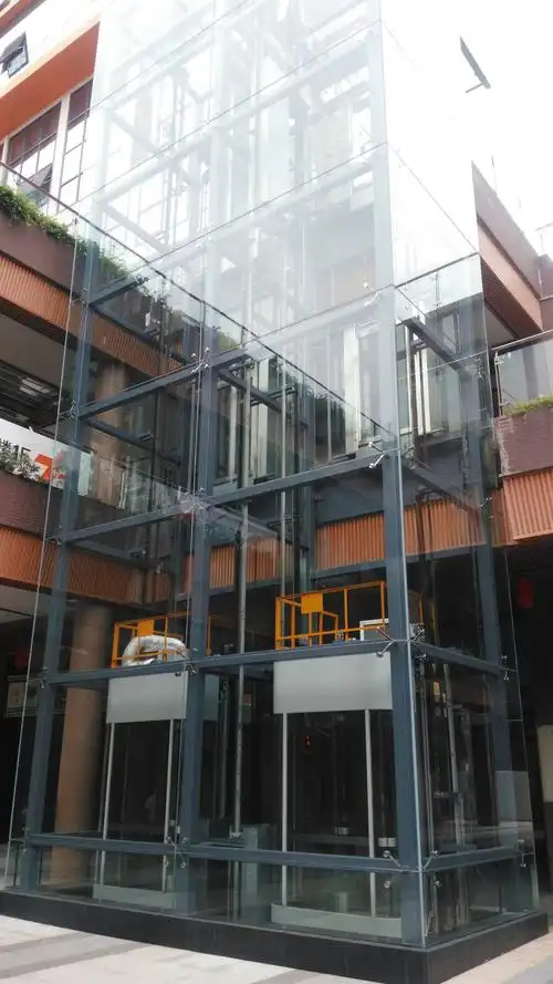 Commercial Passenger Home House Villa Hotel Obsevation Panoramic Elevator for Residential Building Lift