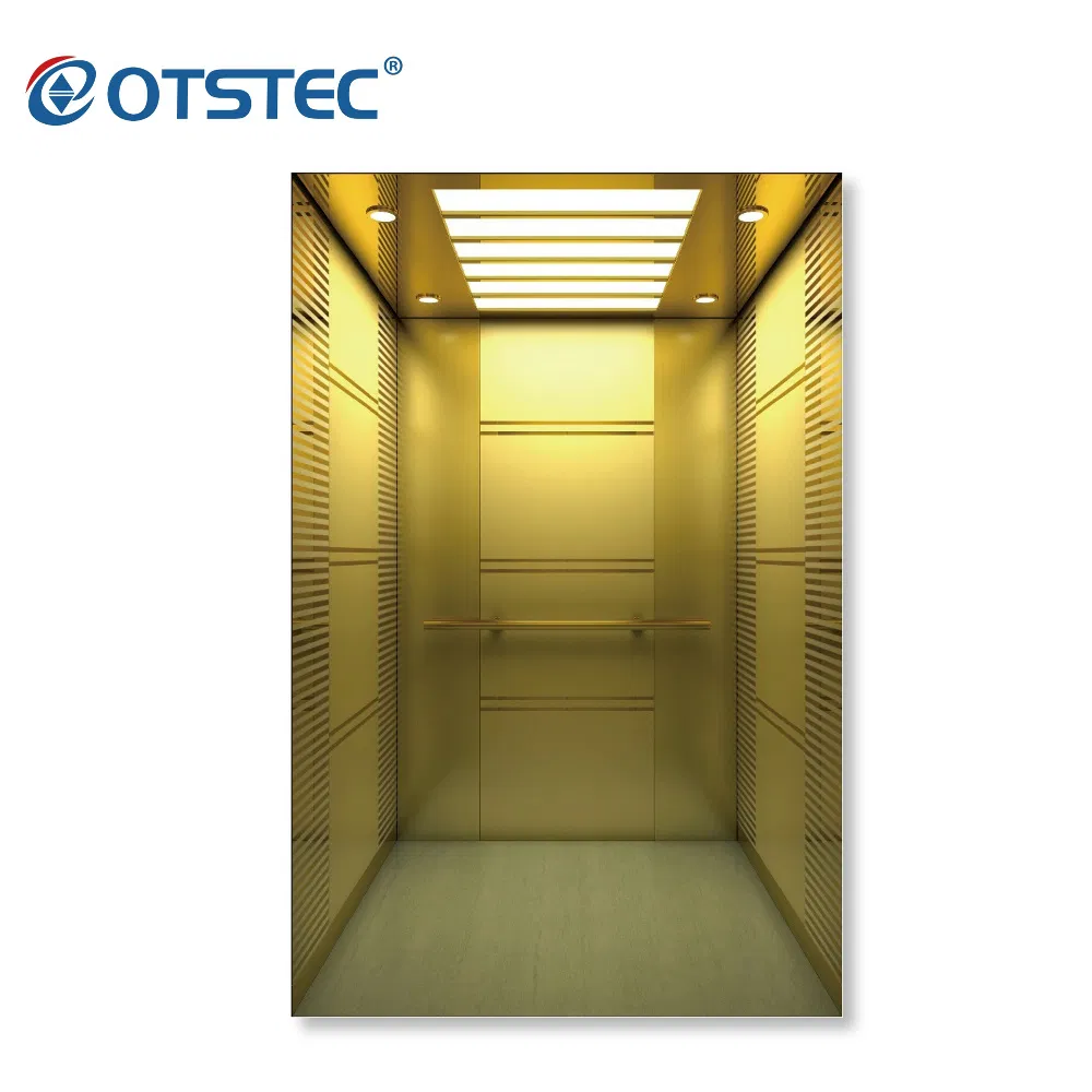 Otstec Standard Residential Elevator for Home Customized 4-8 Persons Passenger Lift
