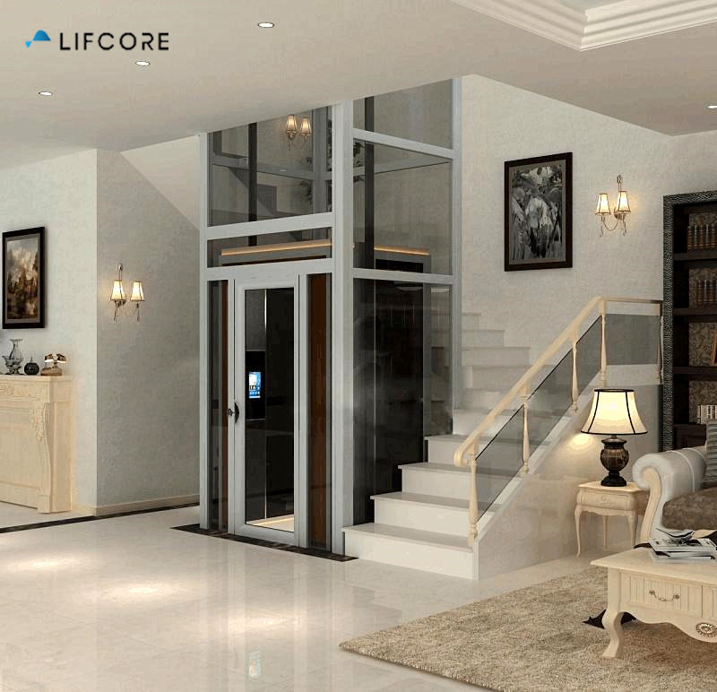 Cheap Residential Panoramic Car Elevator Lift