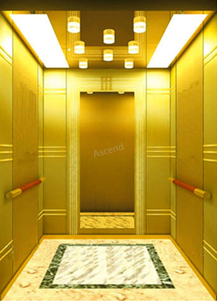Villa Home Elevator with Low Noise for Passenger FUJI Lift Elevator