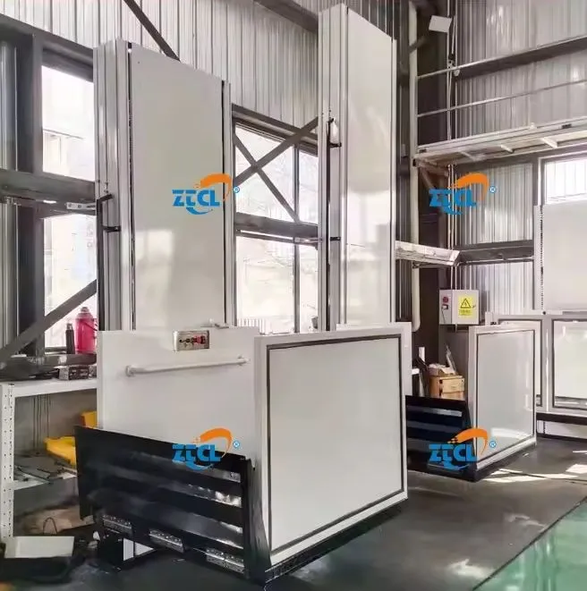 Wheelchair Lift Show 5