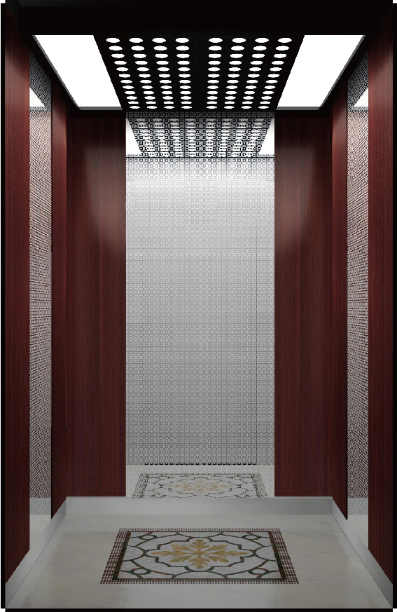 Home Lift Passenger Elevator with Customized Cabin