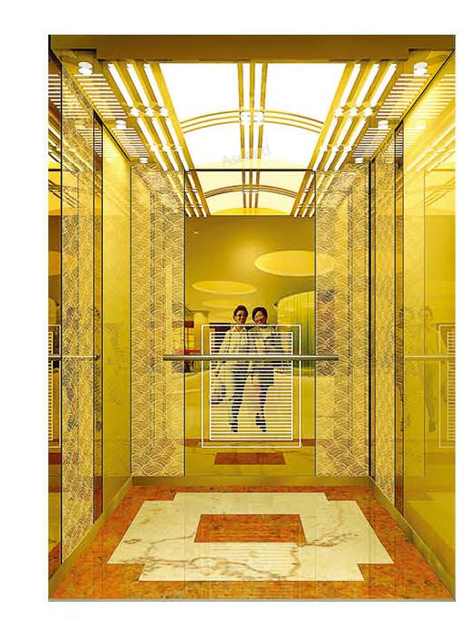 Villa Home Elevator with Low Noise for Passenger FUJI Lift Elevator