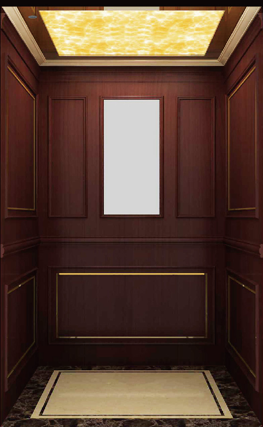 Home Lift Passenger Elevator with Customized Cabin