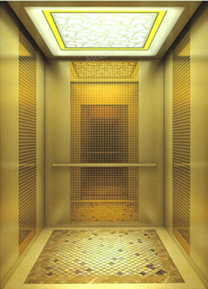 Villa Home Elevator with Low Noise for Passenger FUJI Lift Elevator