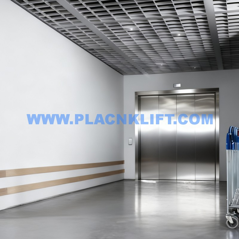 Traction Freight Lift with Anti-Vibration Design, Precision Equipment Transport