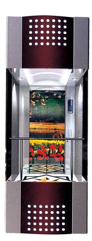 Premium Stainless Steel Panoramic Elevator Lift for Global Distribution