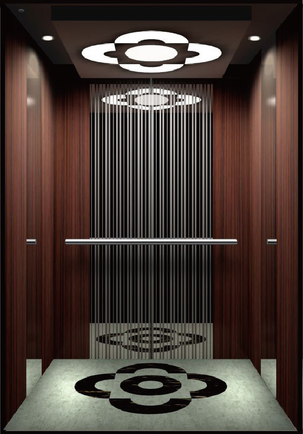 Home Lift Passenger Elevator with Customized Cabin