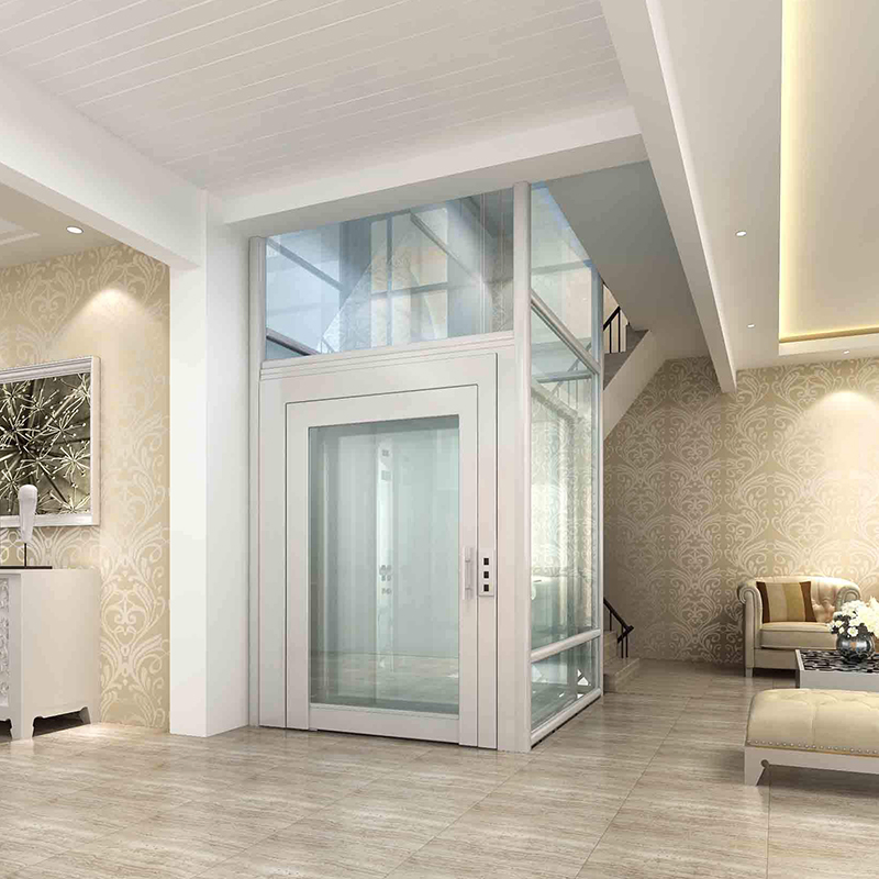 Passenger Home House Villa Panoramic Building Elevator Home Lift