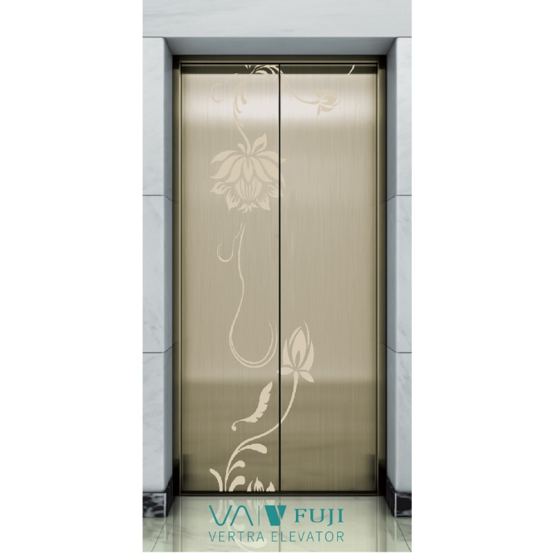 Vvvf 0.4m/S 450kgs Cheap Small Villa Panoramic Lift Door