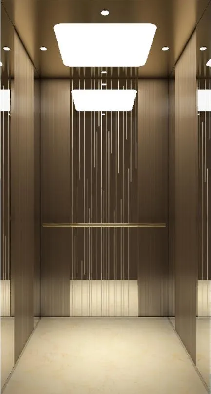 Commercial Passenger Home House Villa Hotel Observation Panoramic Elevator Lift