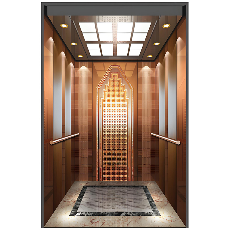 Safe and Reliable 3-10 Floors Passenger Elevator for Commercial and Residential