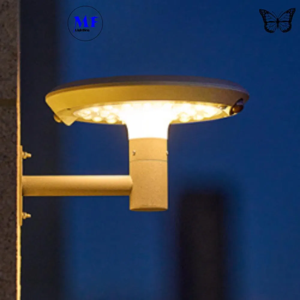 Solar Light Detail 1