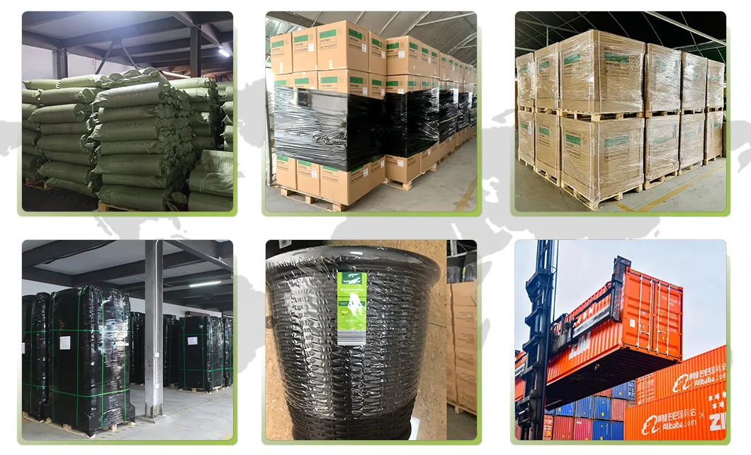 Packaging and Logistics