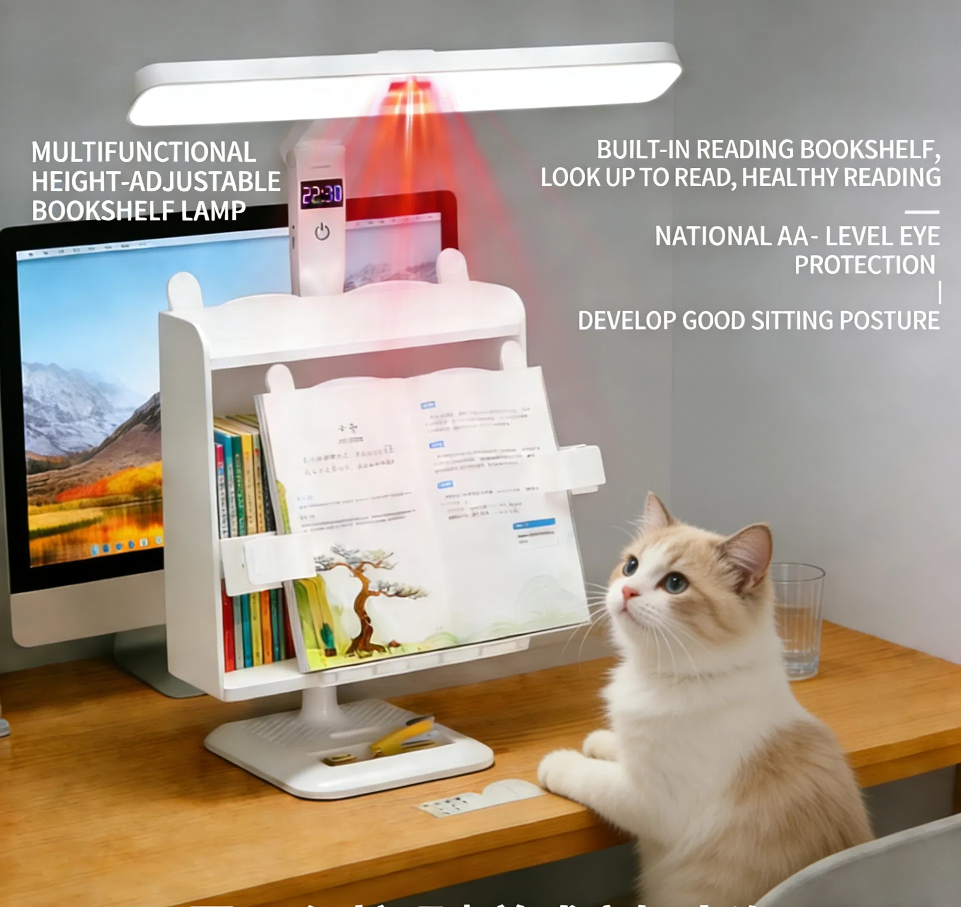 Clock Function Desk Lamp