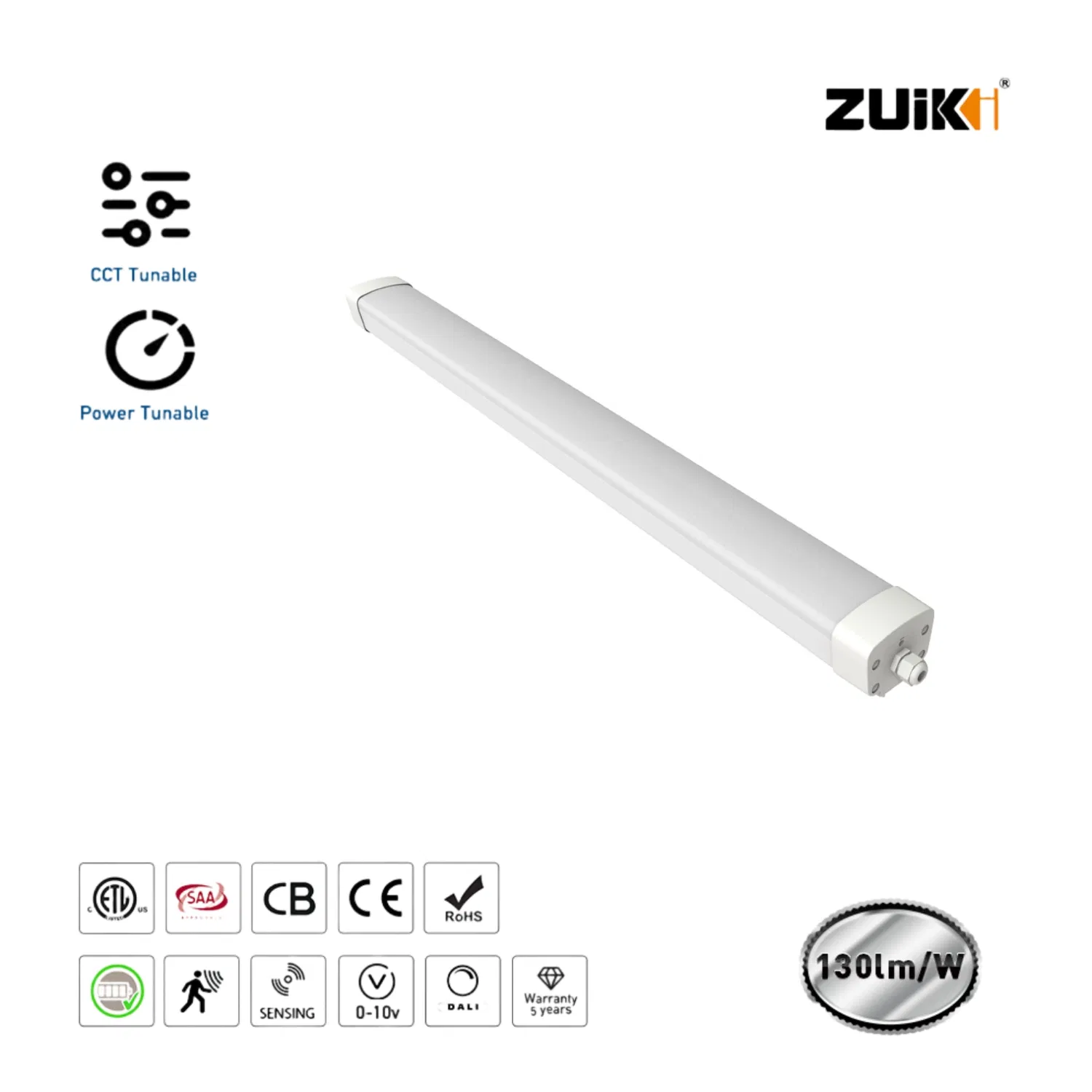 Versatile Waterproof LED Tunnel Light with RGBW Features